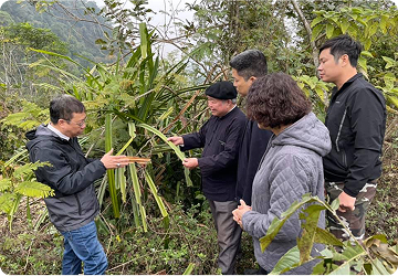 thuc-dia-cung-lao-tai-phong-kham-va-cac-chuyen-di-rung-tham-ban